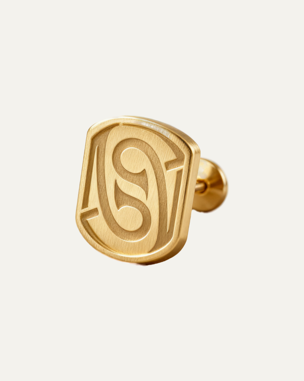 🎁 The ApexAurum a pair Earring (Gift)